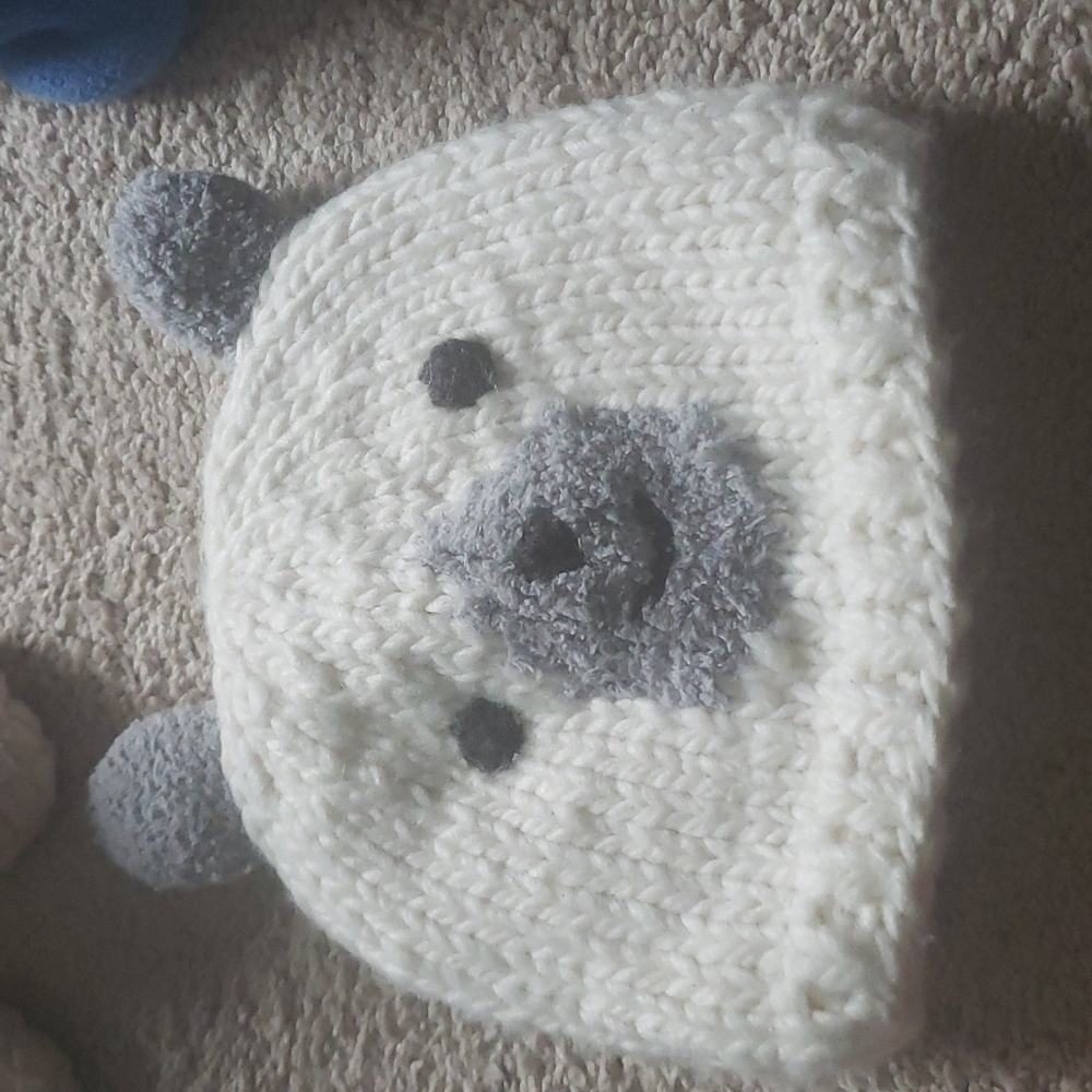 Carters hat